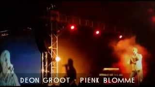 Deon Groot  Pienk Blomme [upl. by Barnaba]