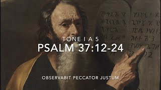 Psalm 371224 – Observabit peccator justum [upl. by Naenej]