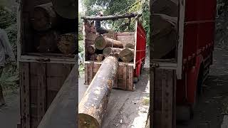 how to load large wood manual forestry wood [upl. by Nordin]