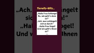 Tier Witz comedy humor funnyvideo witzig [upl. by Lowis831]