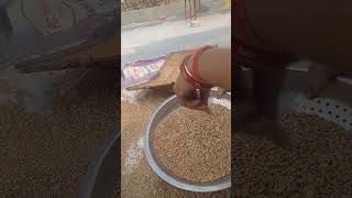 Sieving grains [upl. by Annabal]