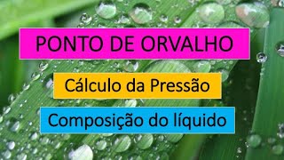 Ponto de Orvalho  Parte1 [upl. by Eendyc590]