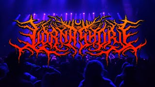 LORNA SHORE  PAIN REMAINS PTS 13 Live in Boston 10282024 LornaShore PainRemains deathcore [upl. by Anier]