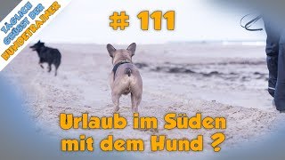 TGH 111  Urlaub mit Hund im Süden  Hundeschule Stadtfelle [upl. by Annoirb]