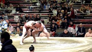 Takanoyama 29  Arawashi 74  Sumo  Hatsubasho 14 [upl. by Lingwood607]