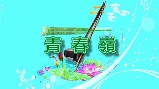 青春嶺【二胡演奏】 [upl. by Ecinue]