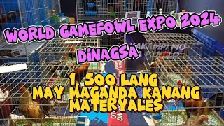 WORLD GAMEFOWL EXPO 2024 ep6 DINAGSA [upl. by Kaliope]