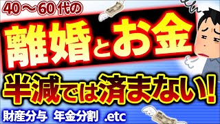 【いい夫婦の日】お金の目途が離婚の目途！40･50･60代離婚の損得！婚姻費用･財産分与･養育費･年金分割【熟年離婚したい･しました慰謝料税金･厚生年金請求期限･弁護士･危機岡野あつこ】 [upl. by Acinnod]