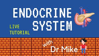 Live Tutorial Endocrine [upl. by Asilet]