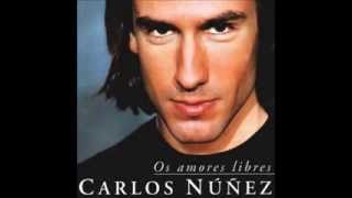 Carlos Núñez  Os Amores Libres [upl. by Learsiy]