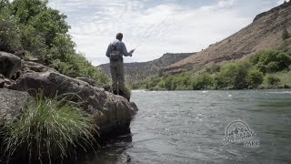 The Salmonfly amp Stonefly hatch on the Lower Deschutes River attracts Anglers from across the world [upl. by Erund]