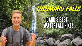 Hiking Through Bamboo Forests to a HIDDEN Waterfall  Lulumahu Falls Oahu Hawaii [upl. by Cha]