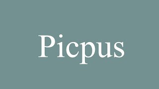 How to Pronounce Picpus Correctly in French [upl. by Drobman726]