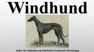 Windhund [upl. by Engelbert]