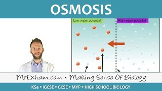 Osmosis  GCSE Biology 91 [upl. by Goody]