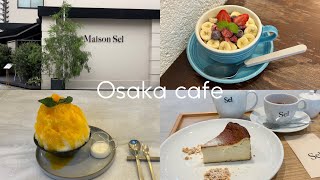 【大阪カフェvlog】📍肥後橋・本町アサイーボウル🥣チーズケーキ🧀かき氷🍧 [upl. by Maddock]