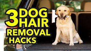 How to Remove Dog Hair from Your Car  Seat Floor Interior  3 Easy DYI Hacks Using Common Items [upl. by Etra]