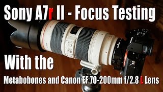 Sony A7r II Focus Testing w Canon EF 70200mm f28 L IS Lens [upl. by Eimor]