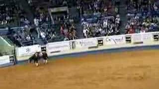 Trevor Dare NRHA Freestyle Invitational [upl. by Nnylyt]