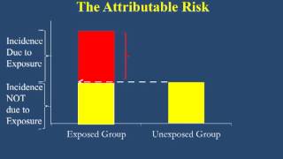 Attributable Risk [upl. by Anemij]