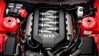 Does The 50 Liter Coyote Have A Wet Belt Lets Find Out newtoyou ford v8engine [upl. by Nemra]