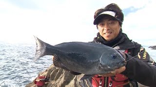 【いつでも釣り気分！】244 魅力溢れる甑島の磯 最高峰タックルを携えて良型グレを追う！ [upl. by Niawat]