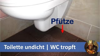 Toilette undicht  WC tropft [upl. by Kallman496]