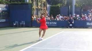 Sania Mirza Hot Indian Tennis Player [upl. by Ajiram]