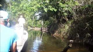 GUYANE  LE SAUT TAKARI TANTE SUR LE HAUTSINNAMARY [upl. by Arnon]