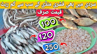 Biggest Fish Market in Karachi Pakistan 2023  Fish Market Karachi  Karachi Fishery Rates 2023 [upl. by Fedak666]