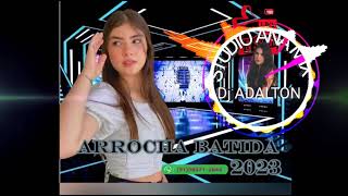 ARROCHA BATIDA 2023 STUDIO ANA MIX DJ ADALTON studioana20 [upl. by Nageet]