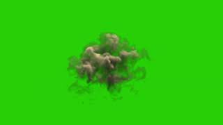 Dust Explosion  Green Screen Chroma Footage [upl. by Upton481]