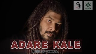 Adare Kale ආදරේ කාලේ  Nalin Liyanage Official Music Video [upl. by Mikahs]