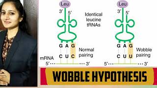 Wobble hypothesis tRna by Bhargavi kola [upl. by Adalie]