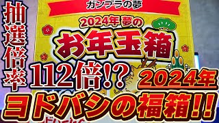 倍率112倍入手困難の福箱【ヨドバシカメラ 2024年夢のお年玉箱「ガンプラの夢」】今年も中身は神がかっているのか！？あけましておめでとうございます！本年もよろしくお願いします！ [upl. by Renruojos]