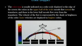 Obstetric US 8 Doppler in Pregnancy [upl. by Ulani11]