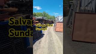 Getting some metal sheets to cover the pergola at the Schoolhouse renovation salvageyard reno [upl. by Ennaecarg583]