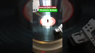 Plinius Audio from New Zealand [upl. by Lachus463]