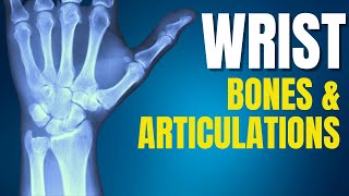 Wrist Anatomy  Wrist Bones Wrist Articulations and Joints For Occupational Therapists [upl. by Aryad]