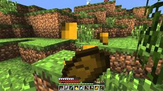 Family Ep 12  Focus  A Minecraft Lets Play [upl. by Shiff710]