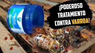 ADIOS A LA VARROA CON ESTE TRATAMIENTO 👌🐝 [upl. by Aihpled]