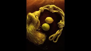 The Llan Drovers  Lemon Man 432hz audio with lyrics [upl. by Thurber]