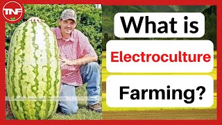 What is Electro culture farming  How does electroculture farming work [upl. by Joanna]