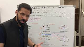 Metabolism of BranchedChain Amino Acids [upl. by Noiek868]