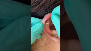 helixpiercing helix earpiercing bodypiercing bataanpiercer mayumipiercing [upl. by Tizes]