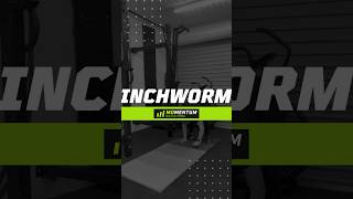 Inchworm [upl. by Esiole]