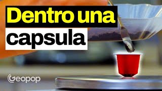 Come si produce il caffè in capsula Vi mostriamo il processo industriale che cè dietro [upl. by Annatnas510]