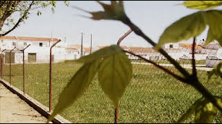 O Pastor Alentejano  Musica Tradicional do Alentejo [upl. by Drhacir36]