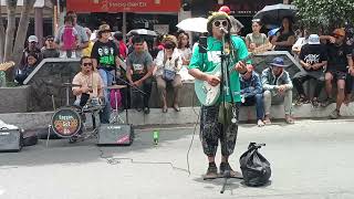 SARUNG BANGGI REGGAE SET GO BAND RENDITION LIVE PERFORMANCE [upl. by Sansbury]