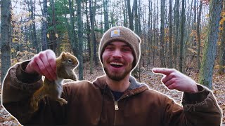 SOLO Public Land Squirrel Hunting Catch Clean and Cook [upl. by Suollecram222]